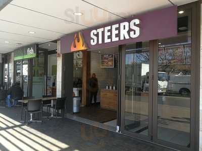 Steers