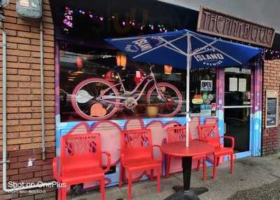 The Pink Bicycle