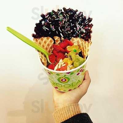 Qoola Frozen Yogurt Bar