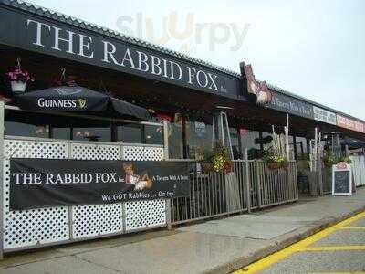 The Rabbid Fox