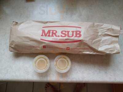 Mr.sub