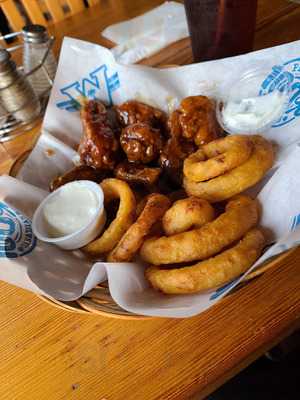 Wild Wings