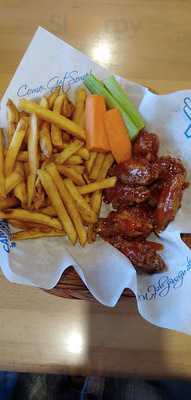 Wild Wings