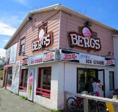 Berg's Famous Ice Cream