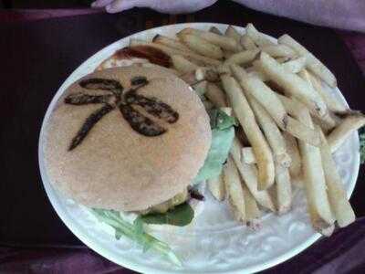 The Dragonfly Restaurant - Casual Fine Dining