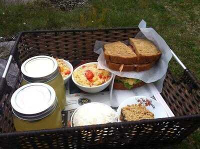 Ferryland Picnics