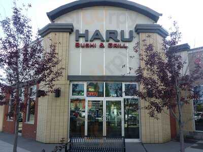 Haru Sushi And Grill