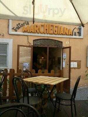 Trattoria Marchegiana