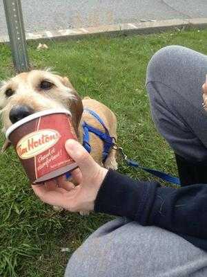 Tim Hortons