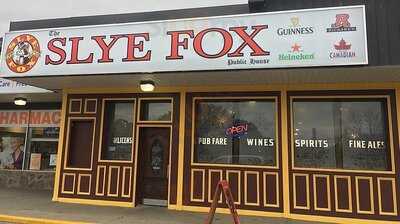 Slye Fox