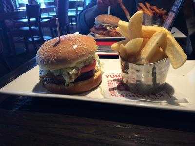 Red Robin