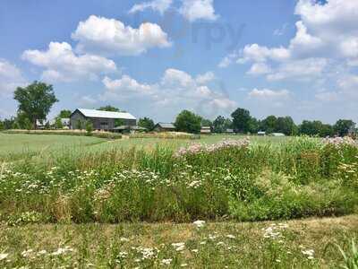 South Pond Farms