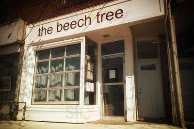 The Beech Tree