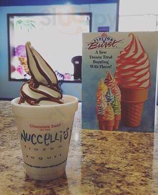 Nuccelli's Frozen Yogurt