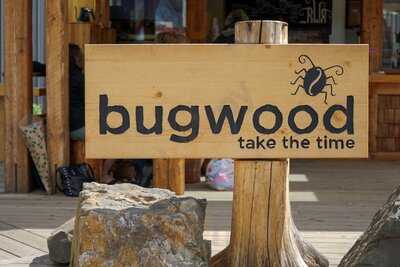 Bugwood