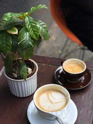 Rocanini Coffee Roasters