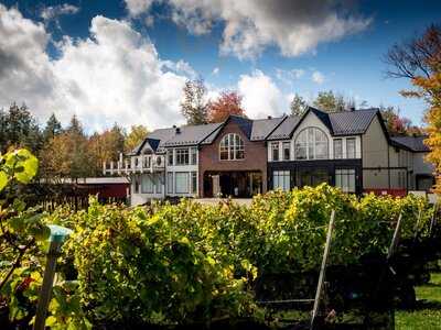 Le Vignoble Du Ruisseau