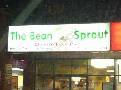 The Bean Sprout