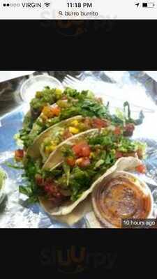Burro Burrito