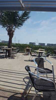 Dejeuner Cosmopolitain