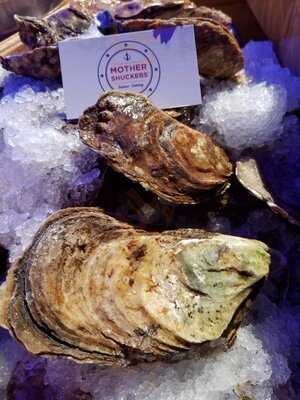 Oysters In Motion - Huitres En Mouvement