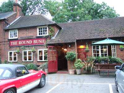 The Round Bush