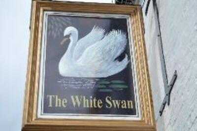 The White Swan