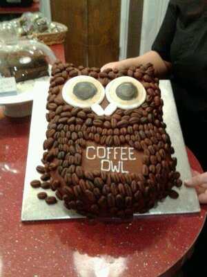 Coffee Owl