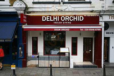 Delhi Orchid