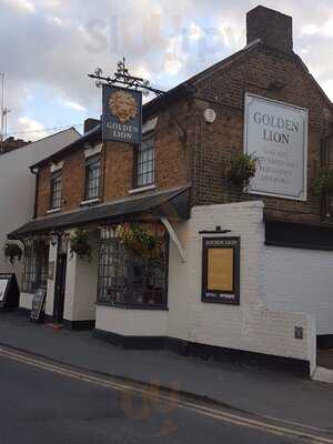 Golden Lion