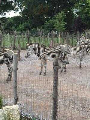 Marwell Wildlife