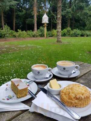 Tea Shed At Trewithen Gardens