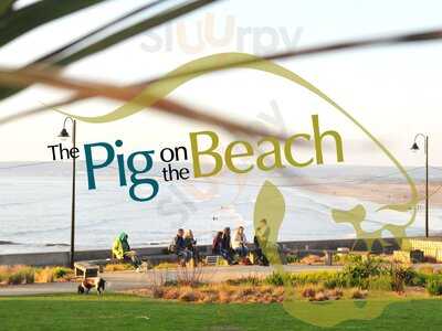 Pig On The Beach