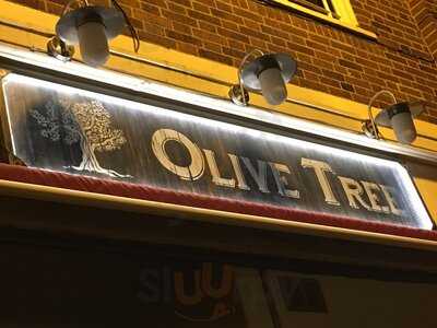 Olive Tree