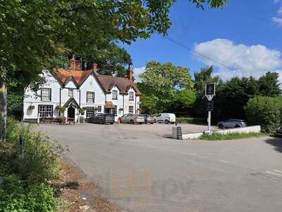 The Queen's Oak