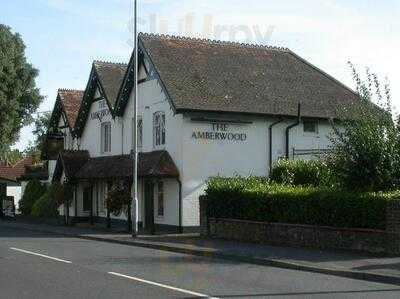 The Amberwood