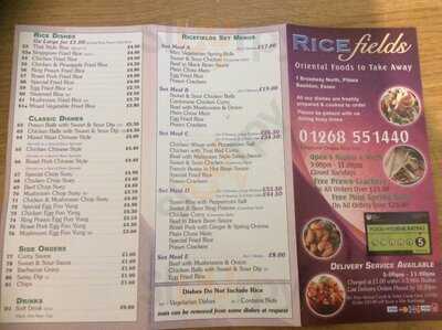 Ricefields Chinese Takeaway - Pitsea