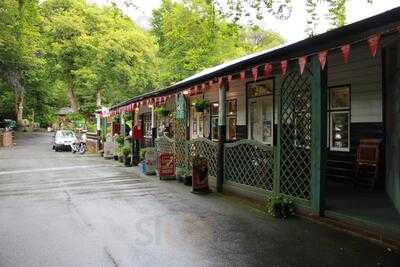 Woodlands Tea Room