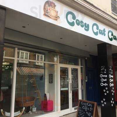 The Cosy Cat Cafe