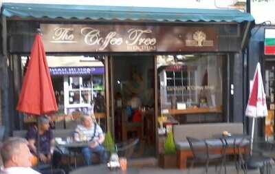 The Coffee Tree