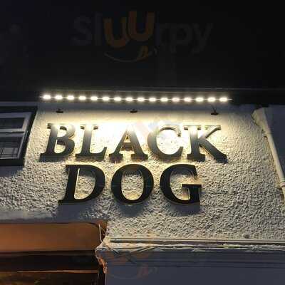 Black Dog