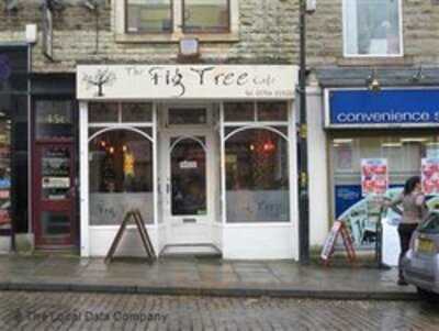 The Fig Tree