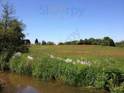 The Barley Mow, Tilford