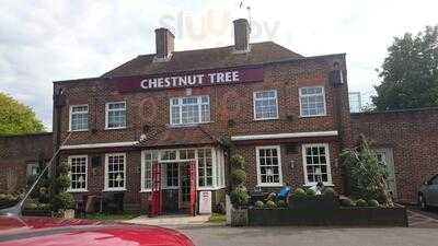 Chestnut Tree