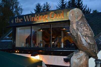 The Winking Owl, Craft Ale Pub & Bar