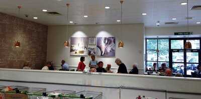 Waitrose Cafe