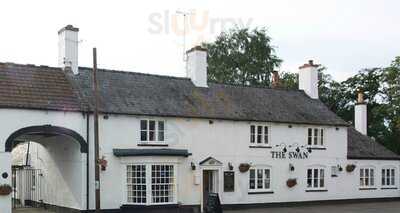 The Swan