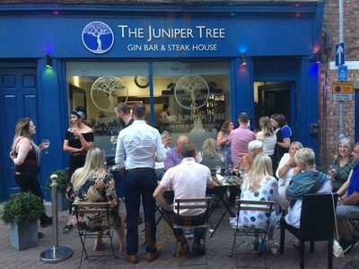 Juniper Tree