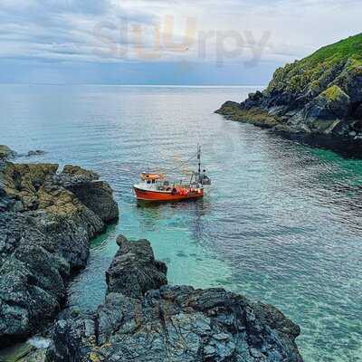 Cadgwith Cove Crab