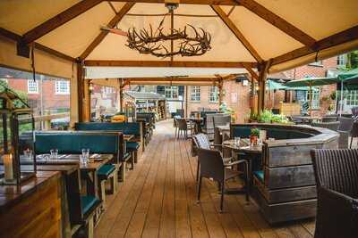 The Stag on the River